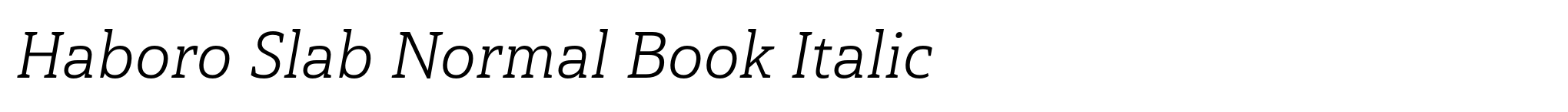 Haboro Slab Normal Book Italic image